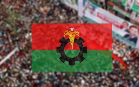 জুলাই সনদকে রাষ্ট্রীয় স্বীকৃতির পক্ষে বিএনপি