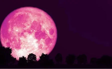 গোলাপি চাঁদ কেন দেখা যায়