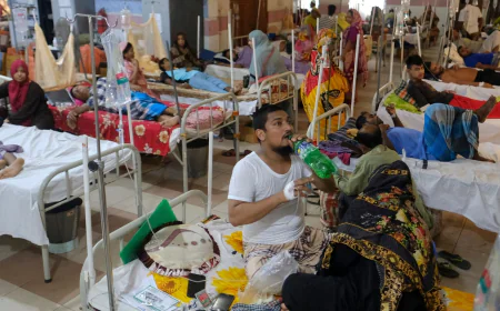 ডেঙ্গুতে মৃত্যু শতক ছুঁই, আক্রান্ত ৩২ হাজার পেরোল